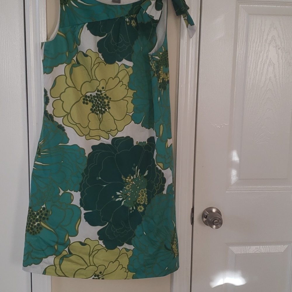Ann Taylor dress